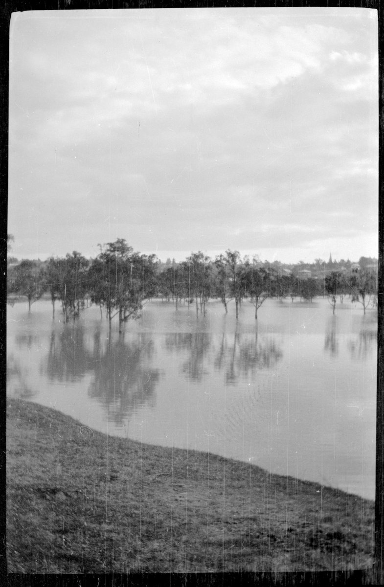 Collection of flexible base negatives showing the Yarra River in flood (1917–33)