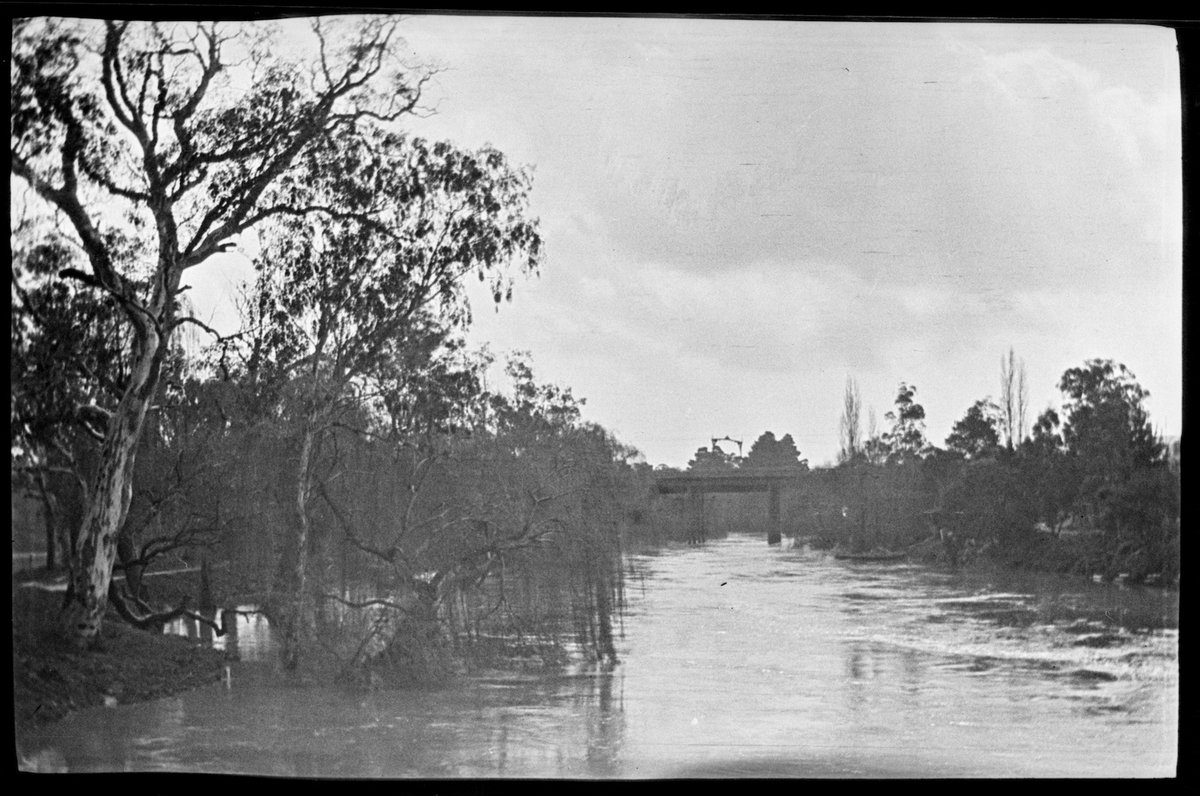 Collection of flexible base negatives showing the Yarra River in flood (1920–30)