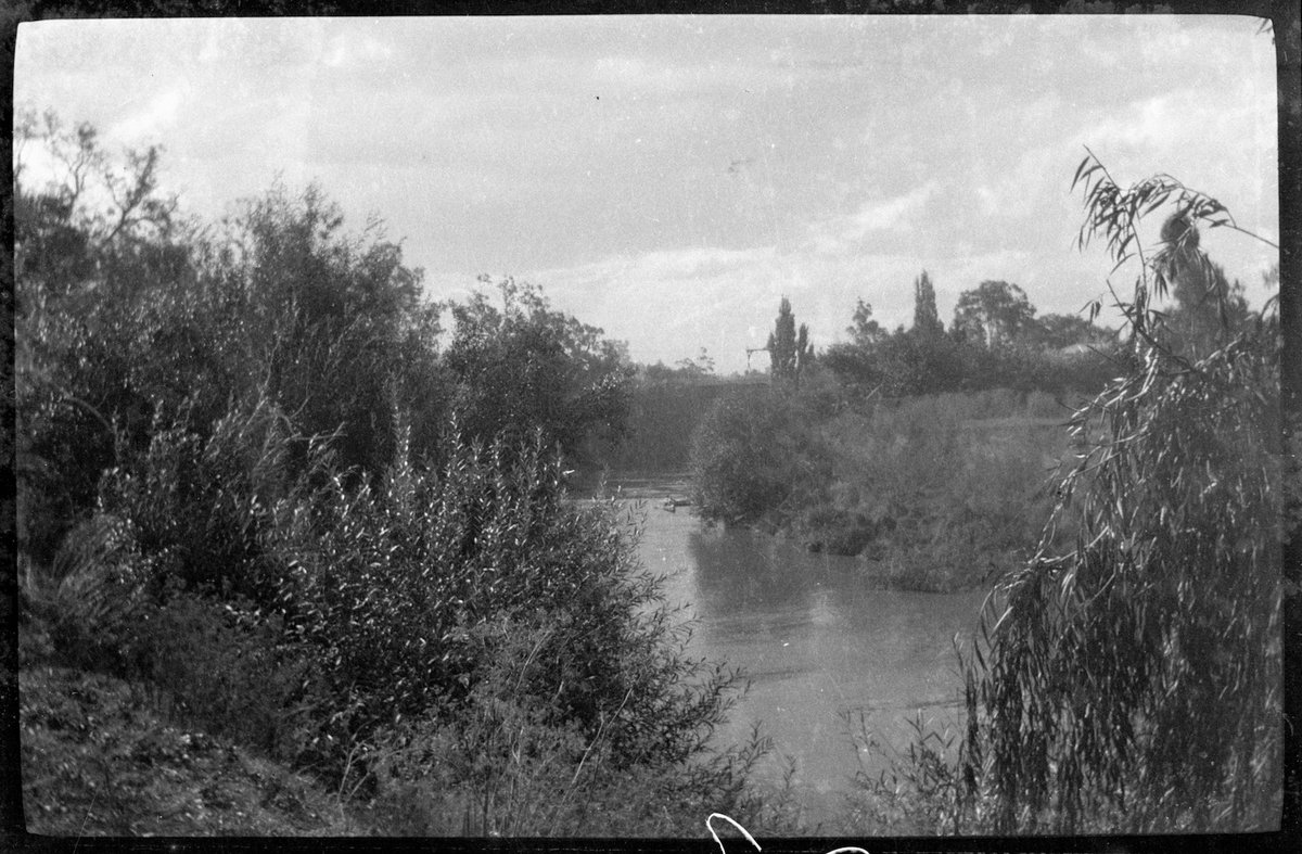 Collection of flexible base negatives showing the Yarra River in flood (1920–30)