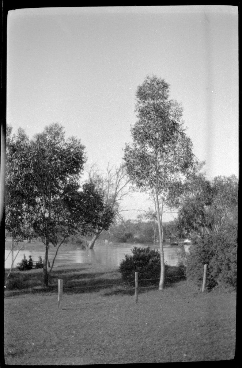 Collection of flexible base negatives showing the Yarra River in flood (1920–30)