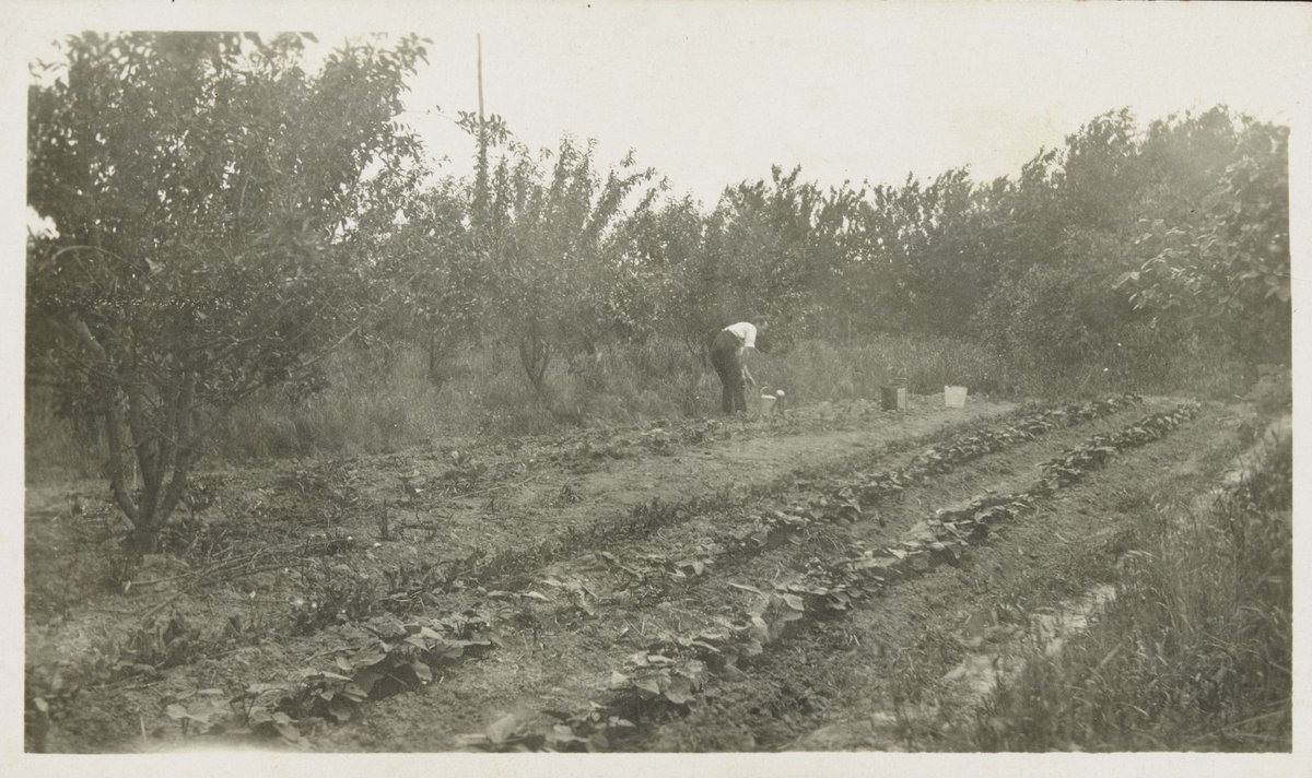 Market Garden Blackburn 1927