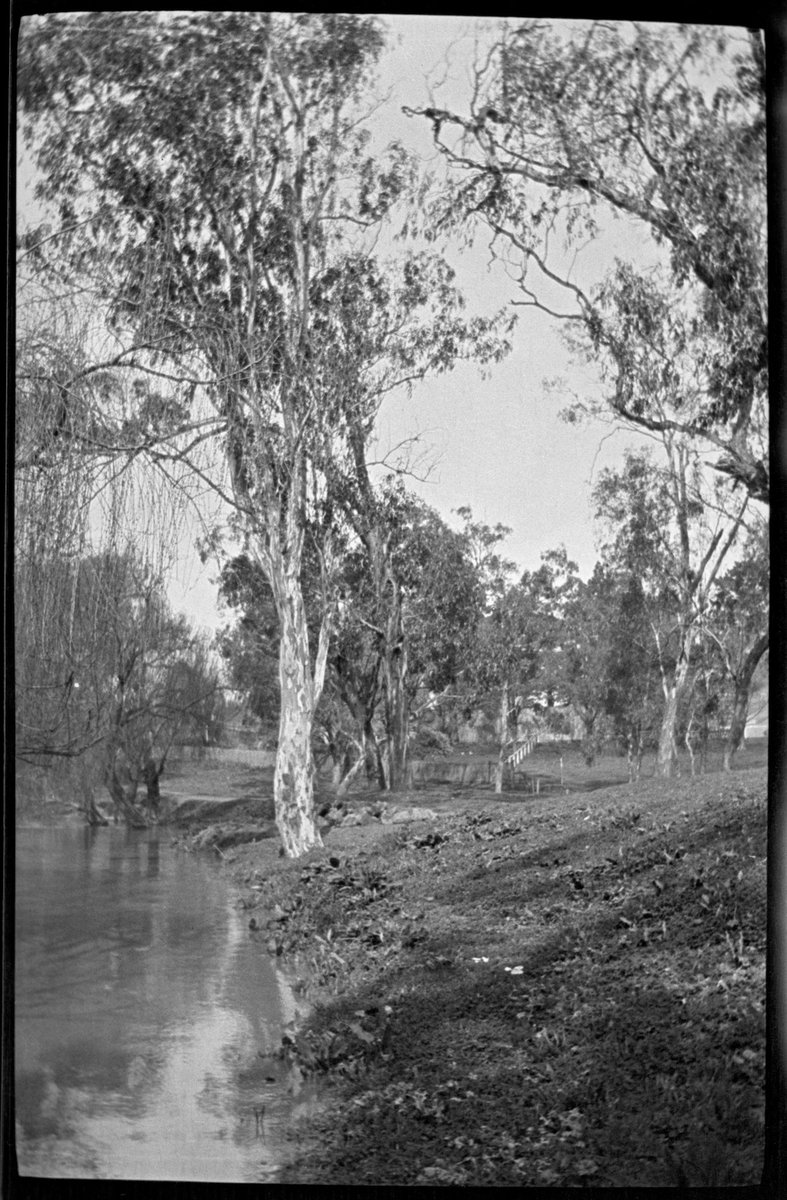 Collection of flexible base negatives showing the Yarra River in flood (1920–30)