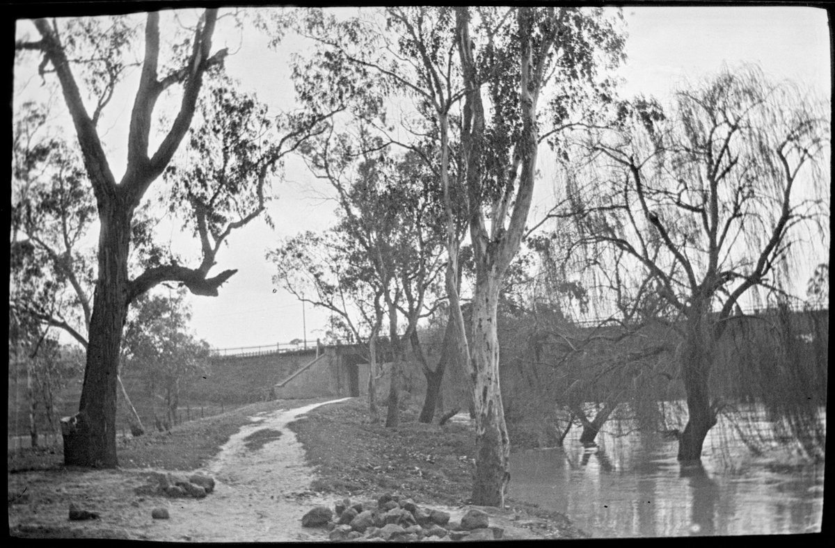 Collection of flexible base negatives showing the Yarra River in flood (1920–30)
