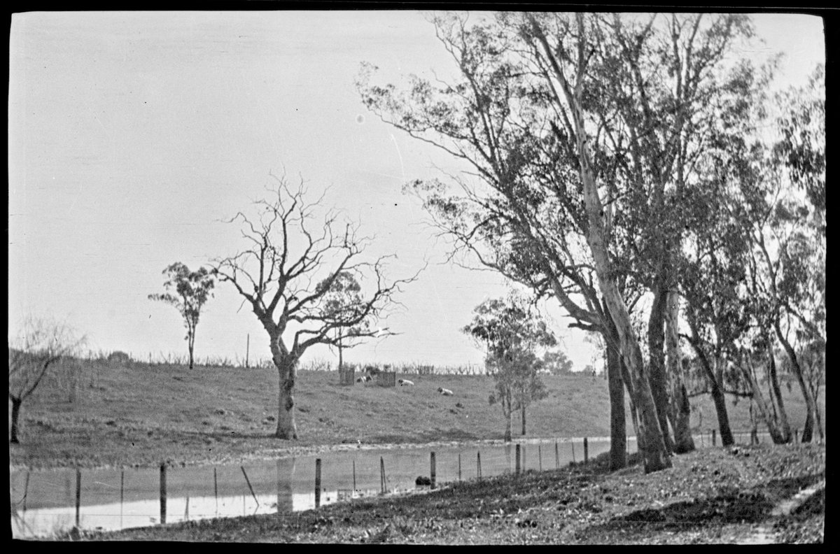 Collection of flexible base negatives showing the Yarra River in flood (1920–30)