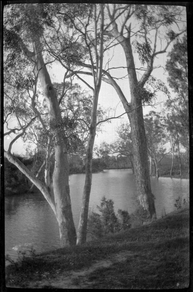 Collection of flexible base negatives showing the Yarra River in flood (1920–30)