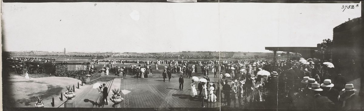 Flemington on Terrace ; Flemington above Terrace (1903?)