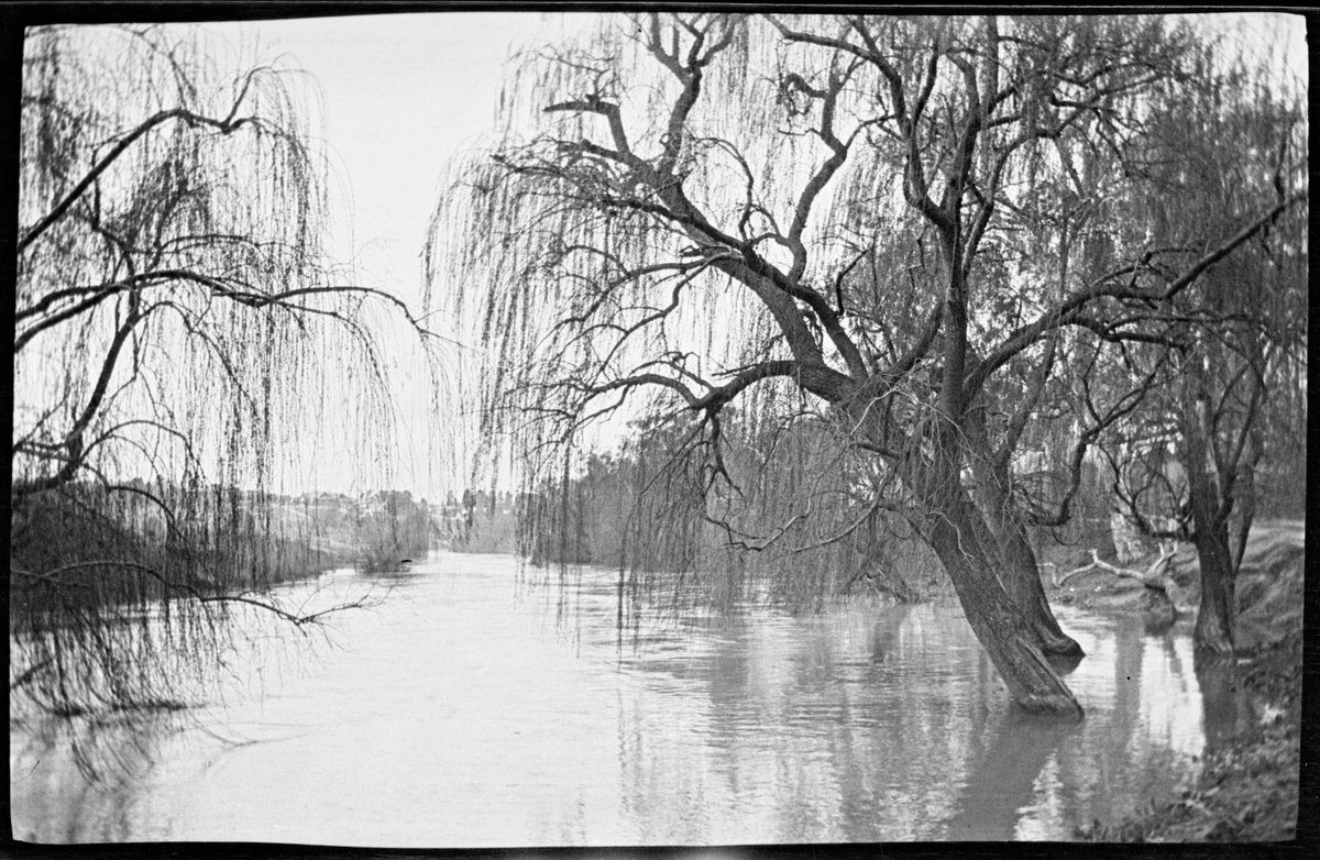 Collection of flexible base negatives showing the Yarra River in flood (1920–30)