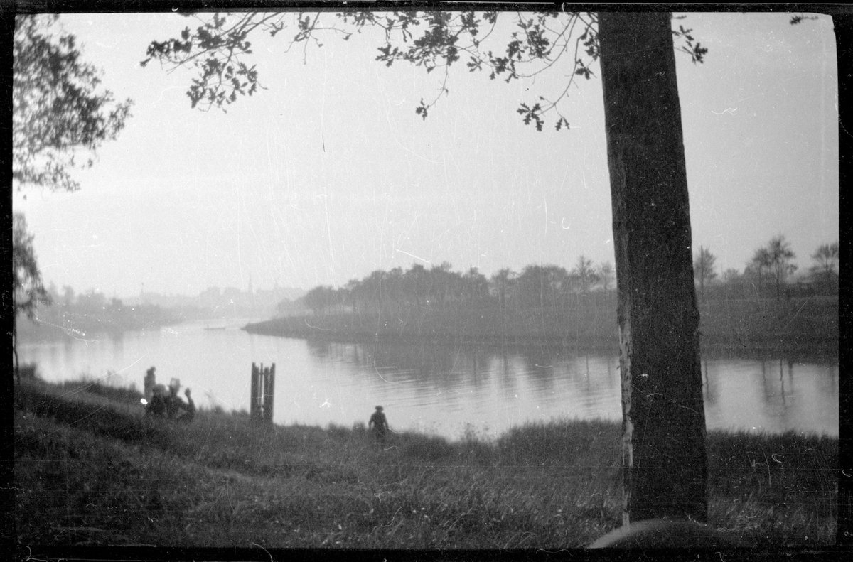 Collection of flexible base negatives showing the Yarra River in flood (1920–30)