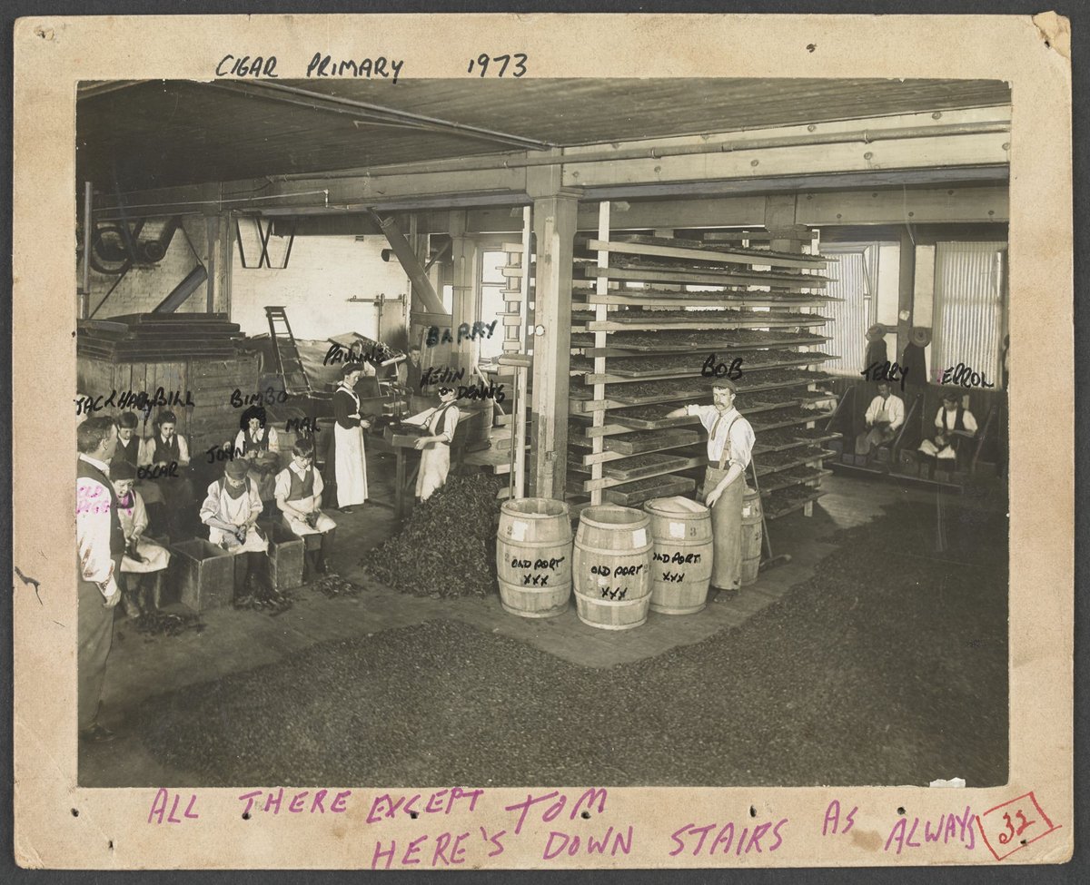 Blending, States Tobacco Company, A'Beckett Street, Melbourne, Melbourne City (1915)