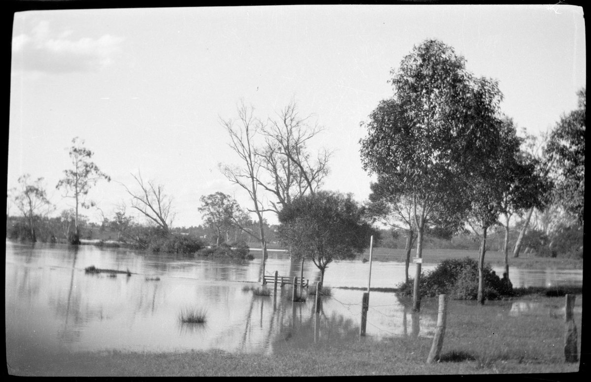 Collection of flexible base negatives showing the Yarra River in flood (1920–30)