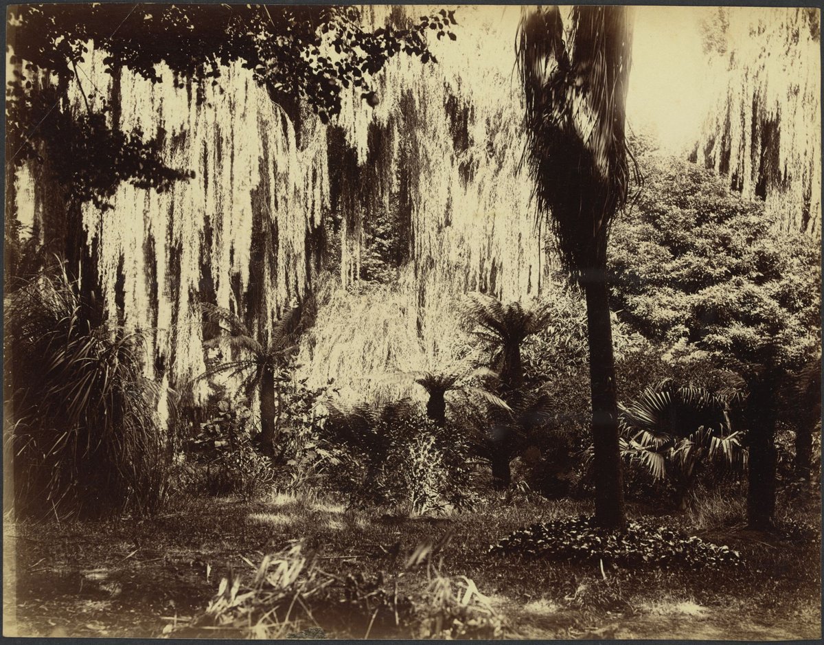 Fitzroy Gardens, East Melbourne (1888?)