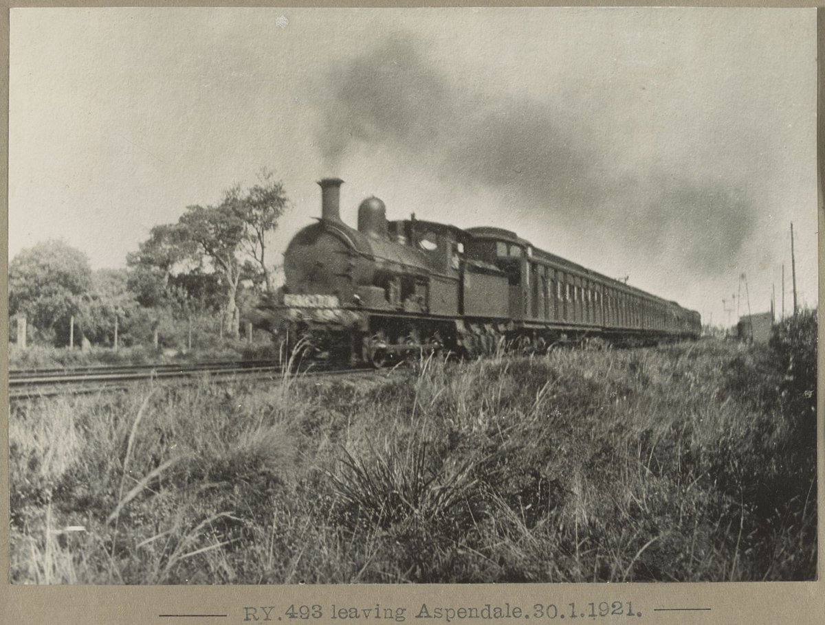 RY.493 leaving Aspendale (1921)