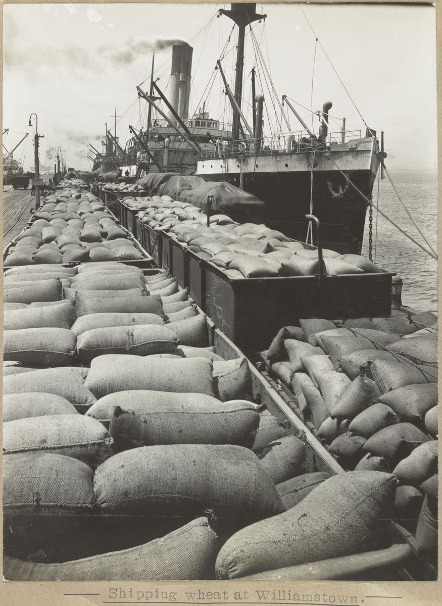 Shipping wheat at Williamstown (1905–28)