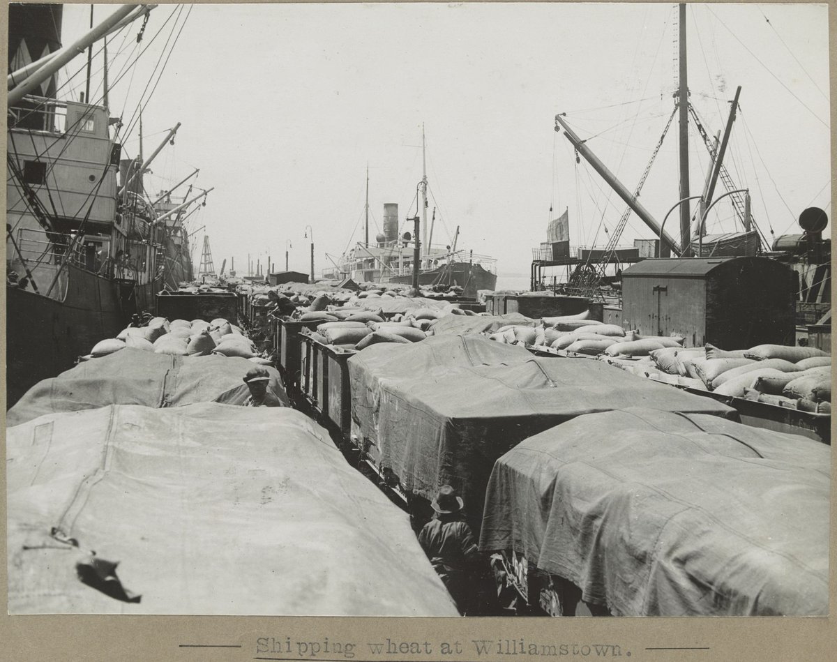 Shipping wheat at Williamstown (1905–28)