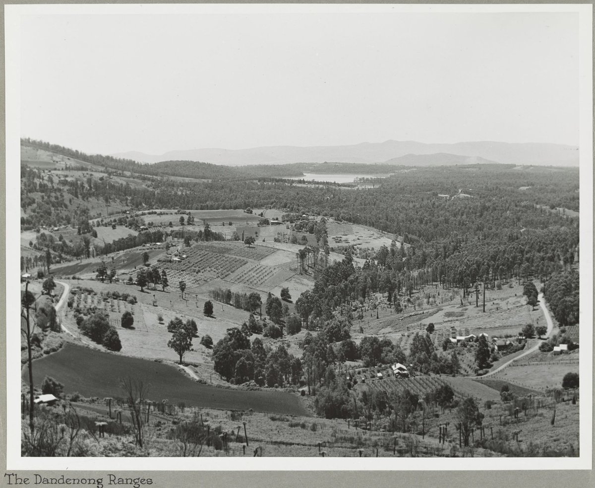 The Dandenong Ranges (1925–35)