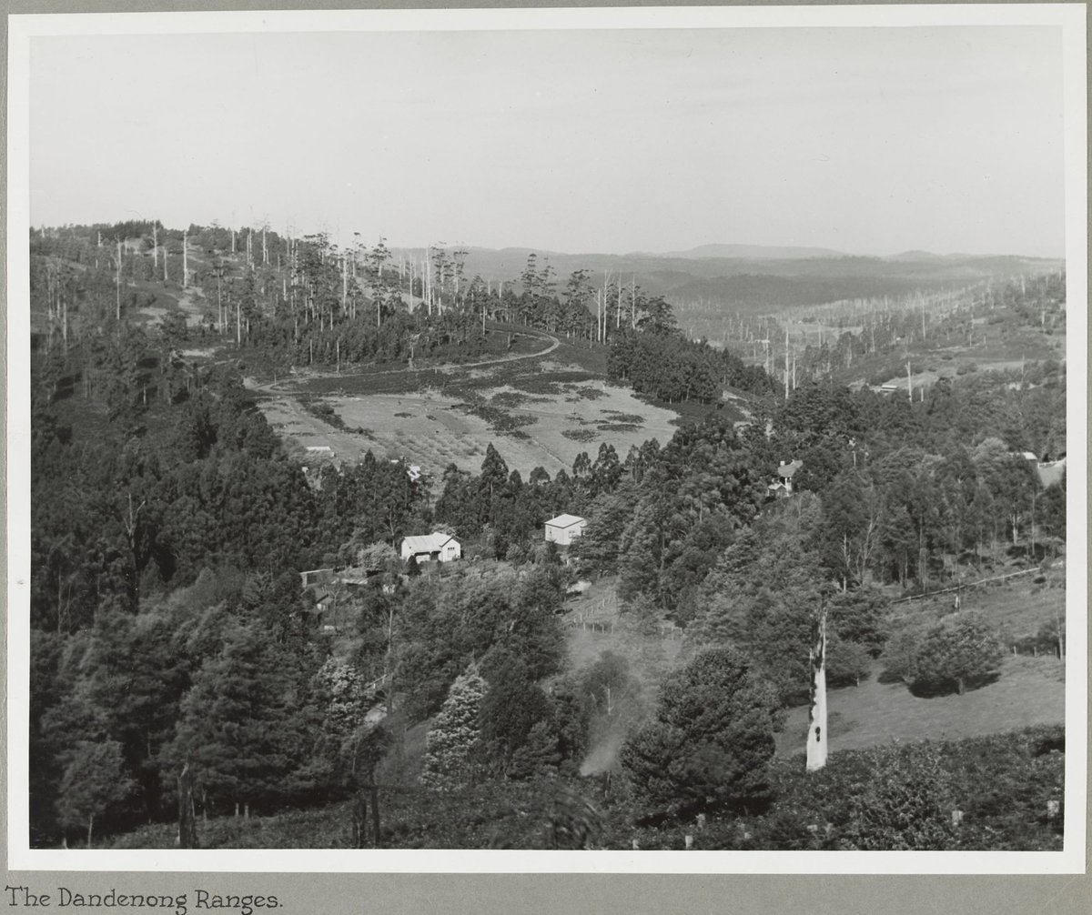 The Dandenong Ranges (1925–35)