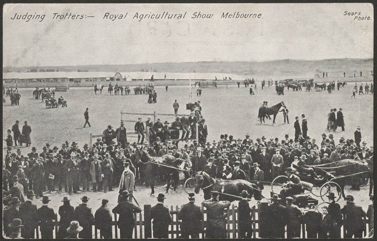 Judging Trotters - Royal Agricultural Show, Melbourne (c. 1908)
