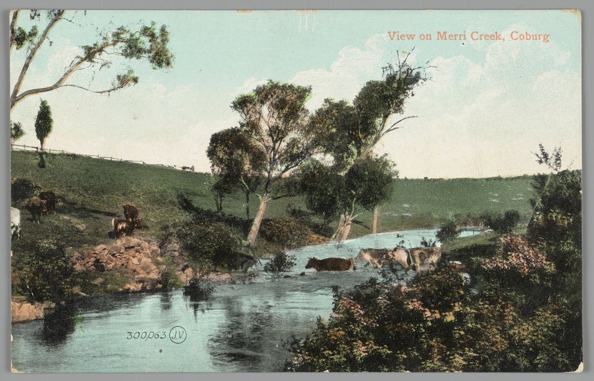 View on Merri Creek, Coburg (1905?)