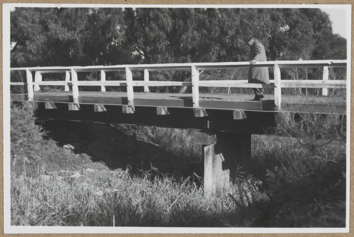 "Floating gates at Barwon River breakwater, Wadsleys drain occupation crossing, Carrum drainage district, Eildon training course" (1959?)