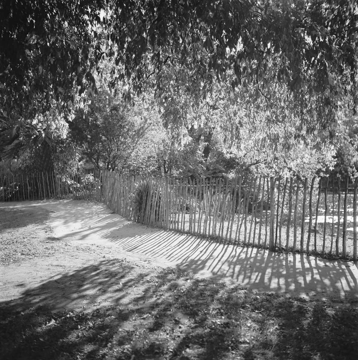 Collection of negatives showing Melbourne streets and surrounds, Melbourne City (1940–50)