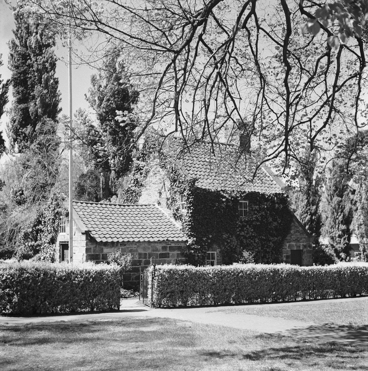 Collection of negatives showing Melbourne streets and surrounds, Melbourne City (1940–50)