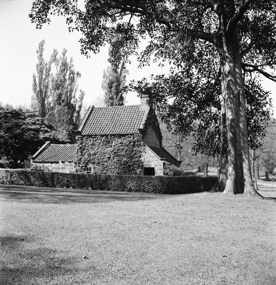 Collection of negatives showing Melbourne streets and surrounds, Melbourne City (1940–50)
