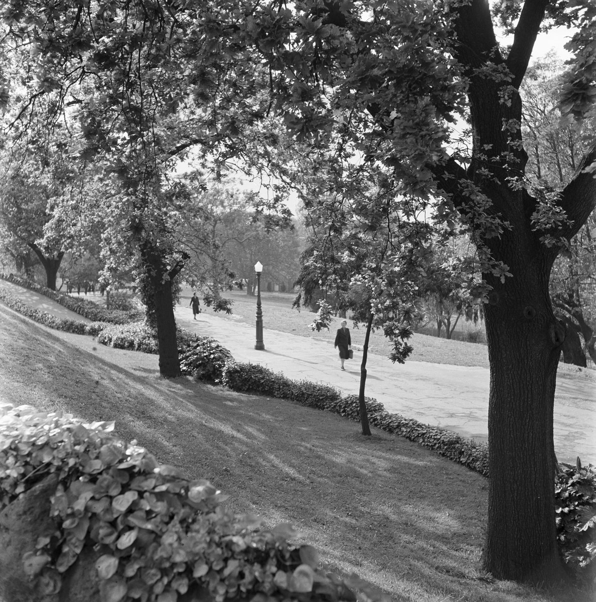Collection of negatives showing Melbourne streets and surrounds, Melbourne City (1940–50)