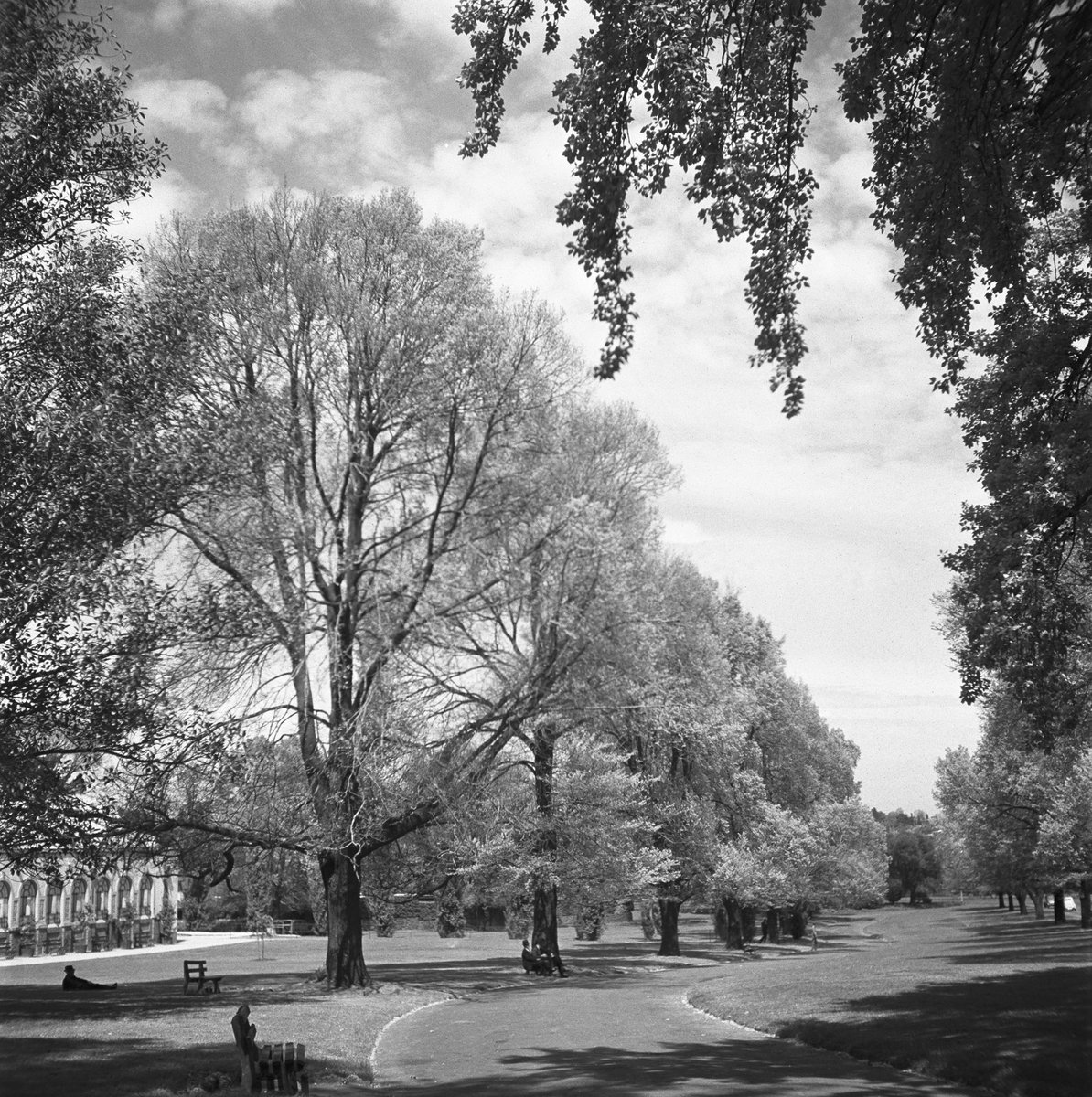 Collection of negatives showing Melbourne streets and surrounds, Melbourne City (1940–50)