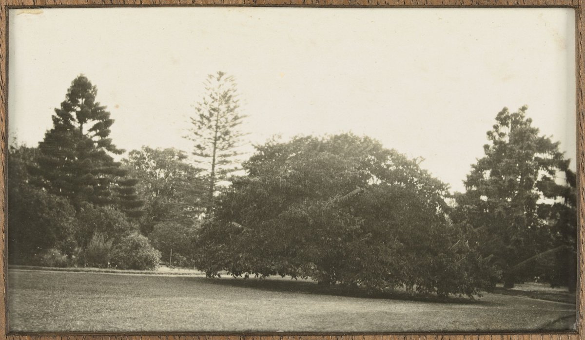 Kamesburgh House North Road, Brighton (1890?)