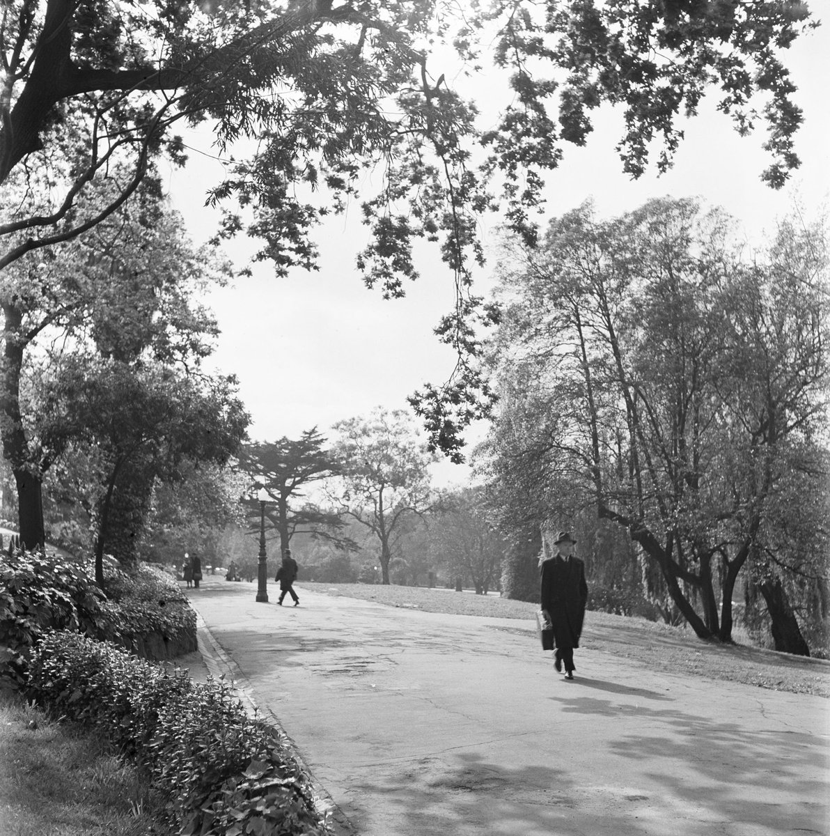 Collection of negatives showing Melbourne streets and surrounds, Melbourne City (1940–50)