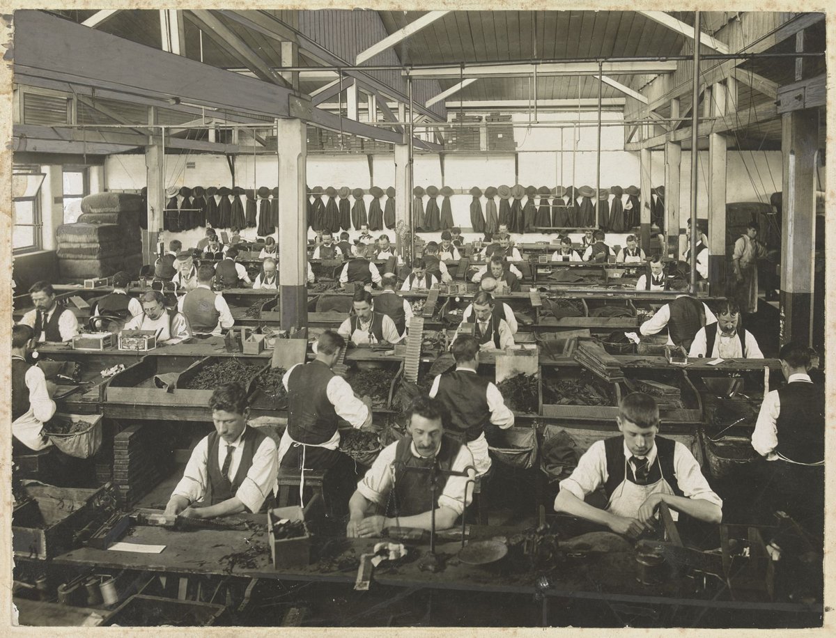 Cigar making room, States Tobacco Company, A'Beckett Street, Melbourne, Melbourne City (1900–20)