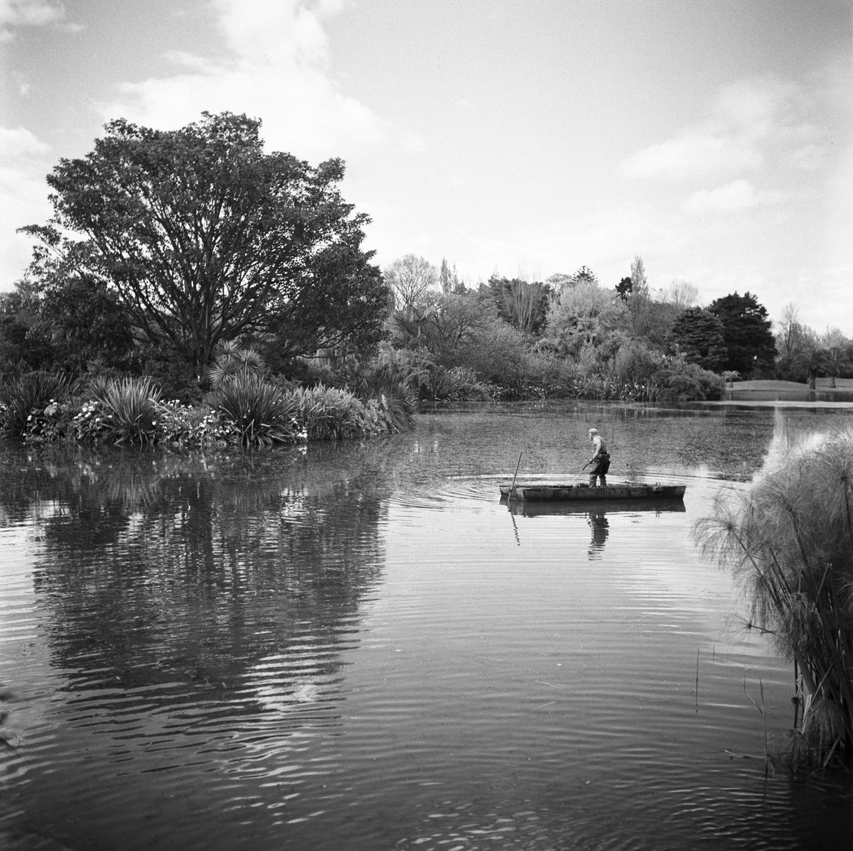 Collection of negatives showing Melbourne streets and surrounds, Melbourne City (1940–50)