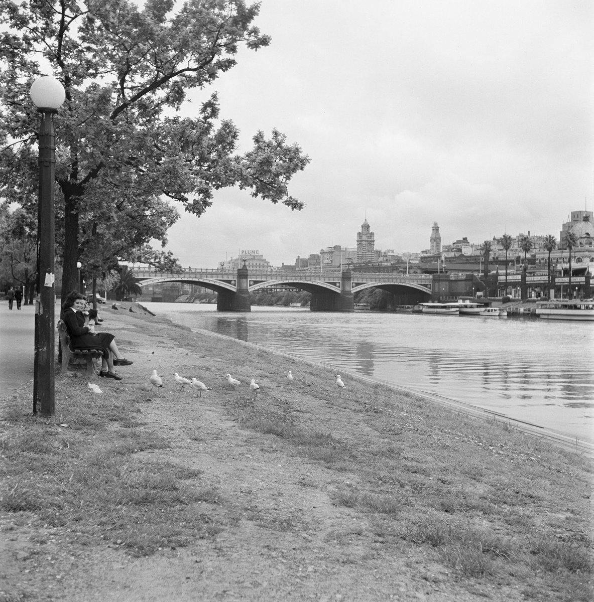 Collection of negatives showing Melbourne streets and surrounds, Melbourne City (1940–50)
