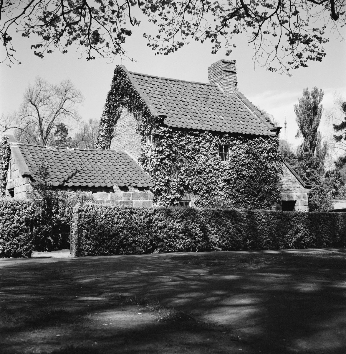 Collection of negatives showing Melbourne streets and surrounds, Melbourne City (1940–50)