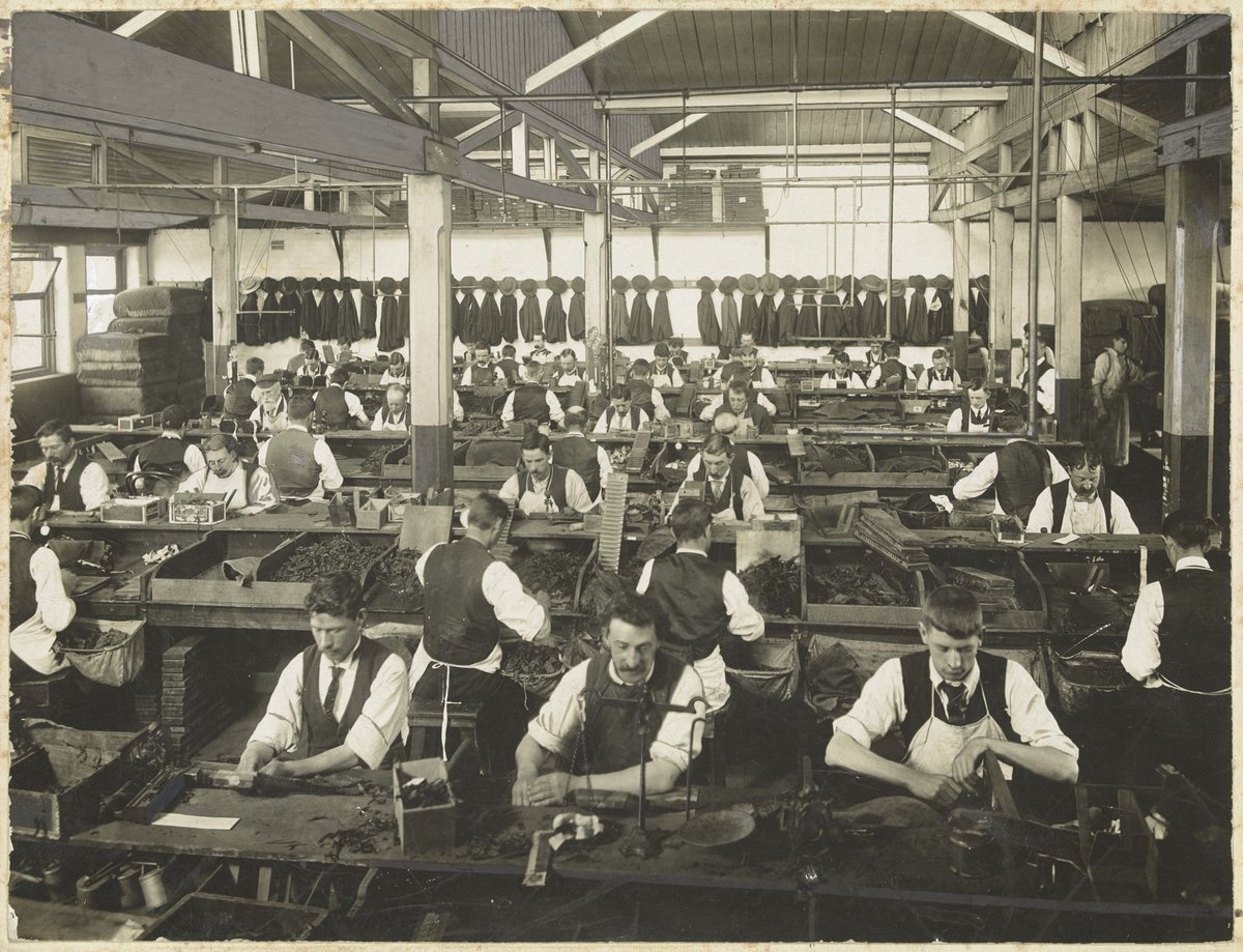 Cigar making room, States Tobacco Company, A'Beckett Street, Melbourne, Melbourne City (1900–20)