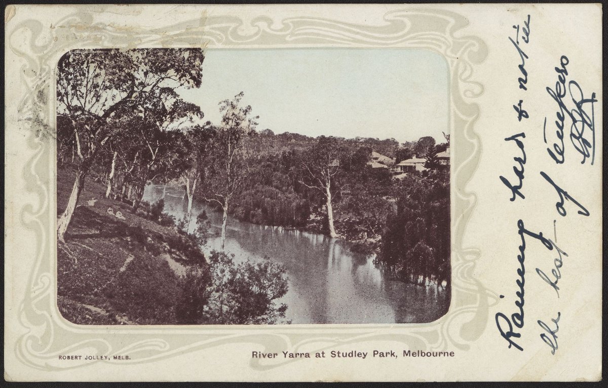 River Yarra at Studley Park, Melbourne, Kew (c. 1904)