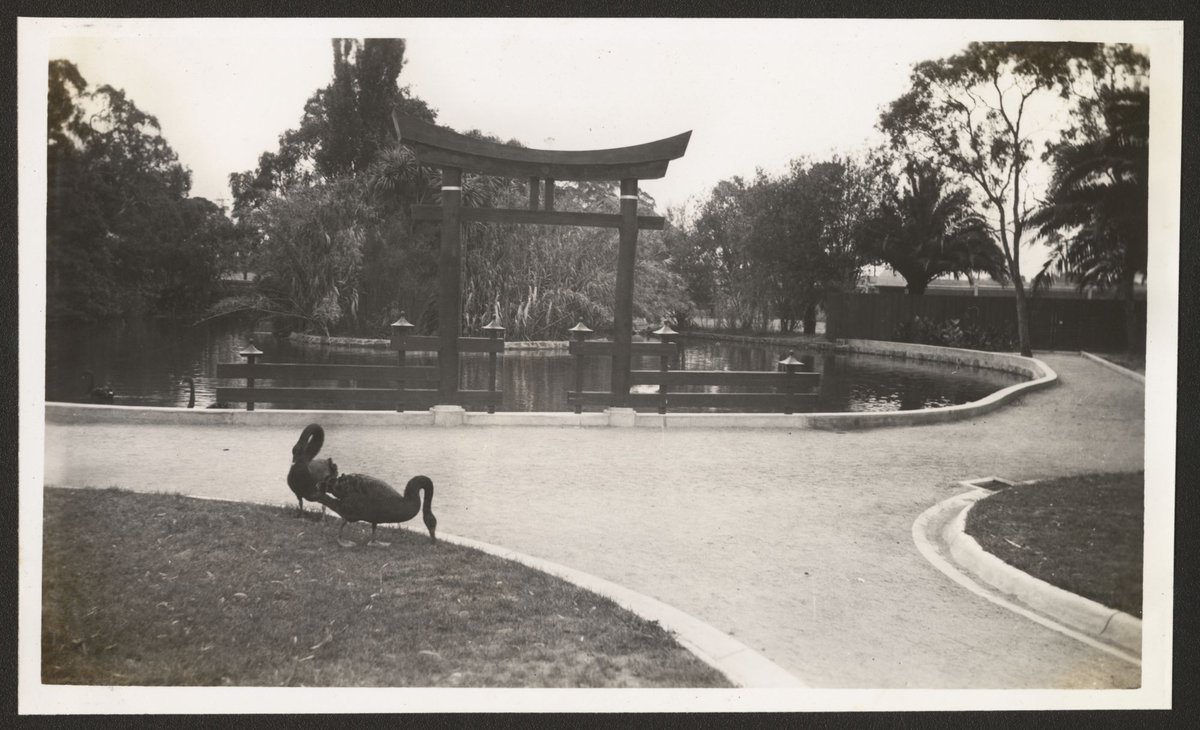 Royal Melbourne Zoological Gardens, Victoria, Parkville (1939–54)