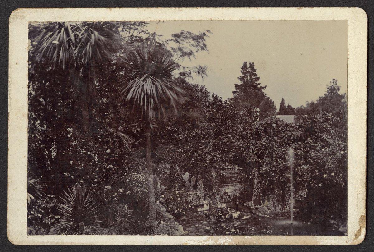 Mr. Bains Garden 1890 Normanby Rd. Est. Kew