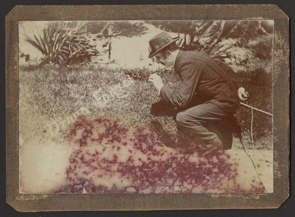 "Killerton" Mont Victor Rd. Kew, Charlie Frost, Field Naturalist (1890–1900)