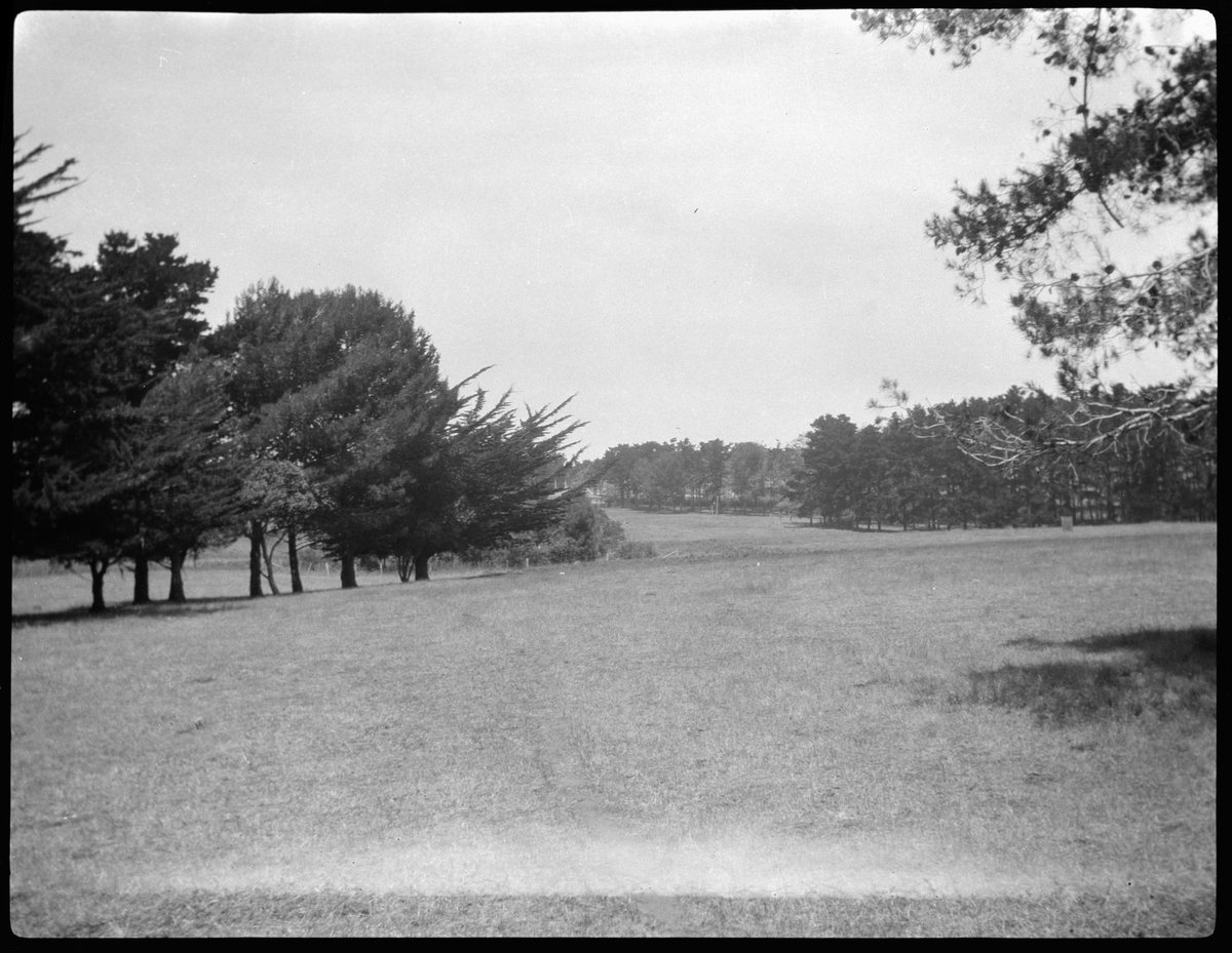 Albert Park, Victoria (1916–21)