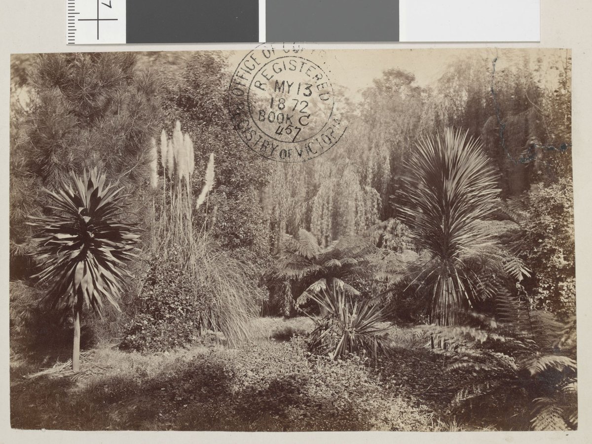 Fitzroy Gardens 1872, East Melbourne