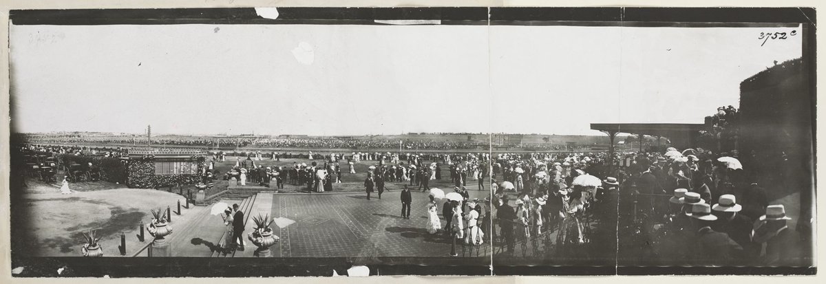Flemington on Terrace ; Flemington above Terrace (1903)