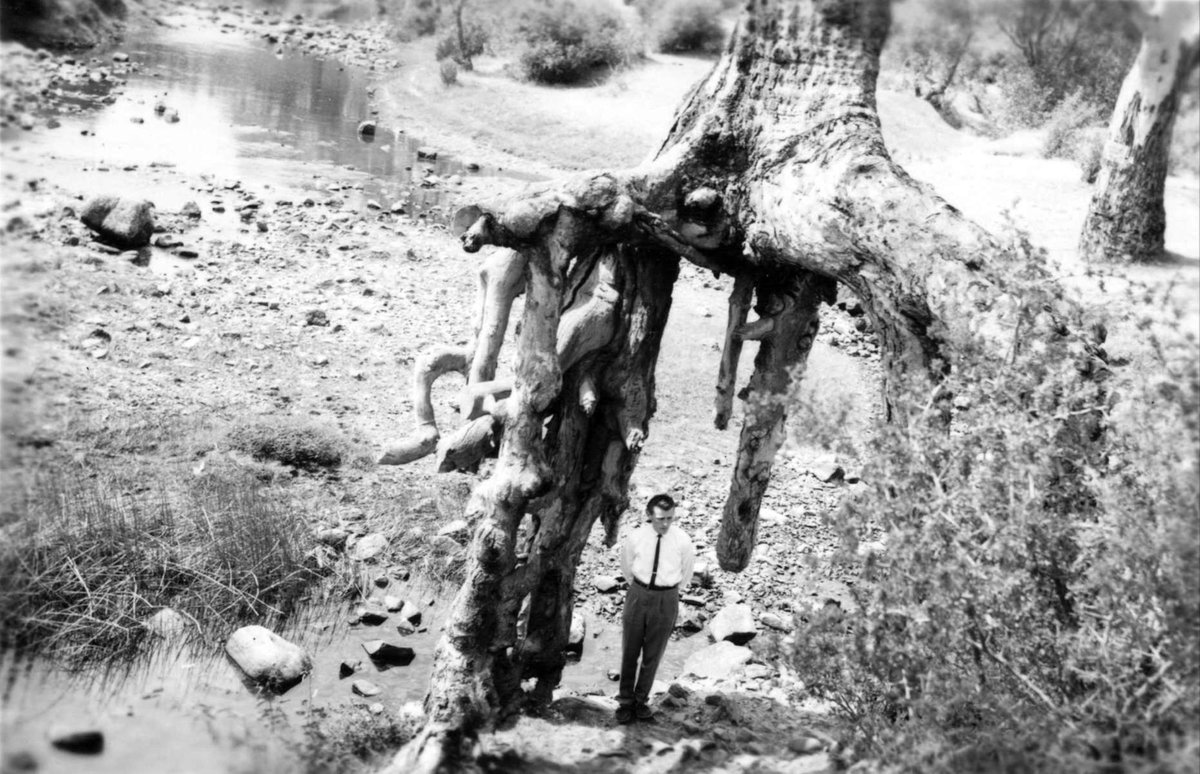 Maribyrnong River Konagaderra dam site investigations (1961)