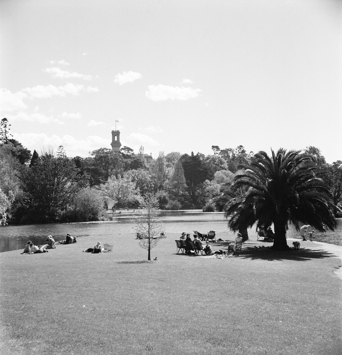 Collection of negatives showing Melbourne streets and surrounds, Melbourne City (1940–50)