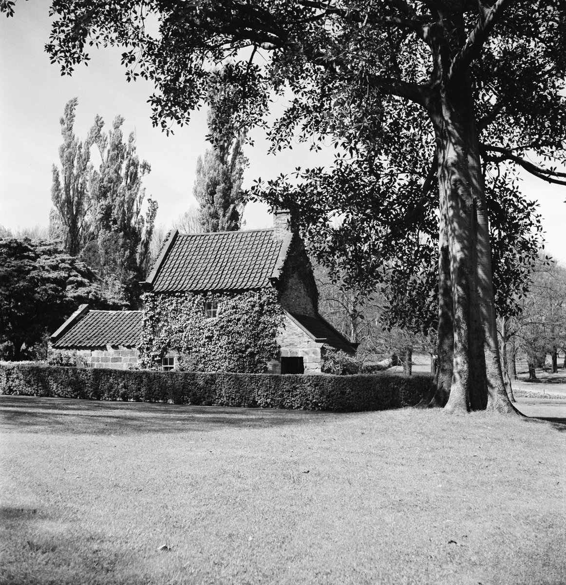 Collection of negatives showing Melbourne streets and surrounds, Melbourne City (1940–50)