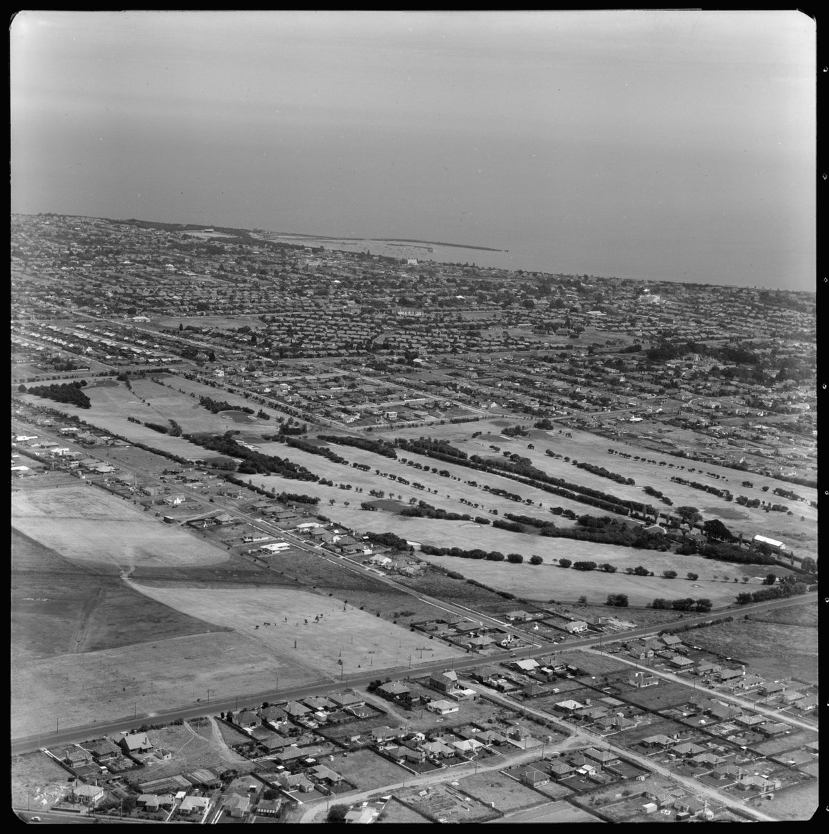 Aerial view of golf links, looking south east, Brighton East, Victoria (1951)