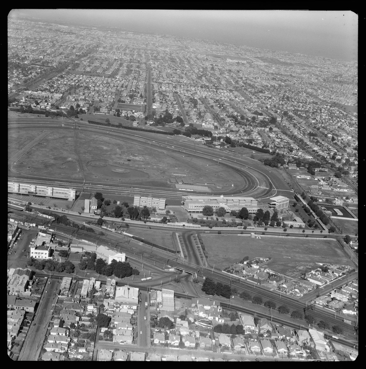 Aerial views of Caulfield, Victoria, looking south (1951)