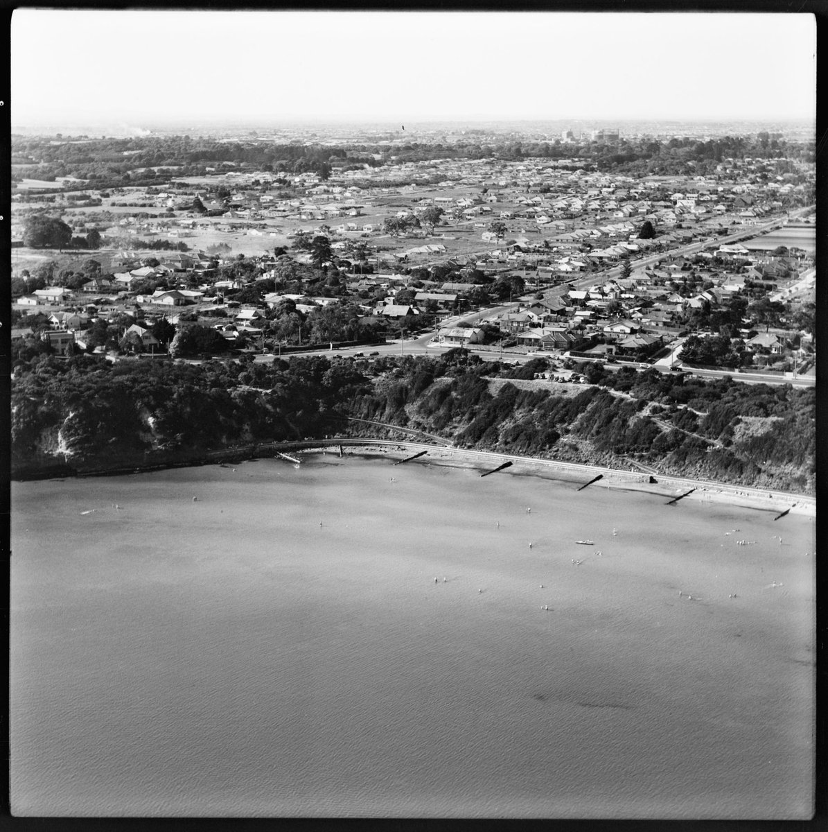 Aerial view of Beaumaris, Victoria, looking west (1950)