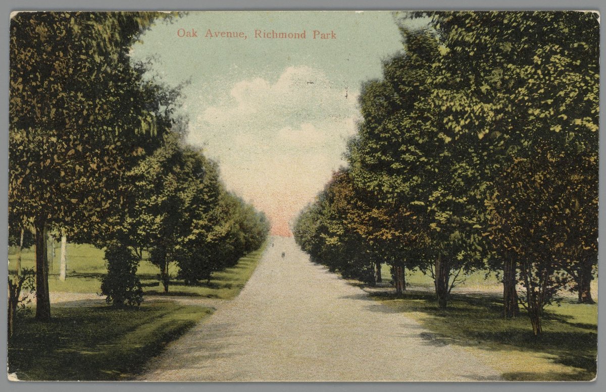 Oak Avenue, Richmond Park (c. 1907)