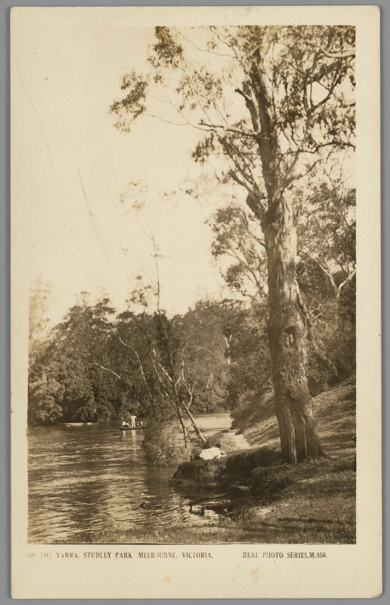 ON THE YARRA, STUDLEY PARK MELBOURNE, VICTORIA, Kew (c. 1915)